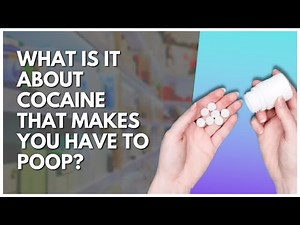 What Is It About Cocaine That Makes You Have To Poop?