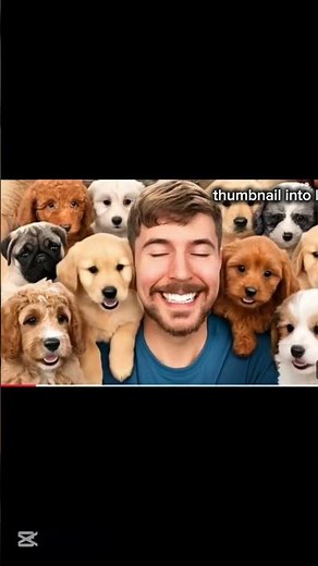 i adopted 100 dogs| mr beast new video
