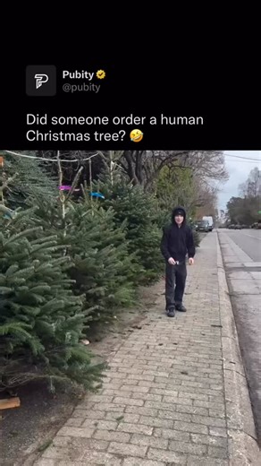 Pubity on Instagram: "🎄 A Christmas tree stands as a glowing symbol of togetherness, filling rooms with warmth, lights, and quiet magic. Wrapped in ornaments and memories, it gathers families closer, turning ordinary evenings into celebrations and simple moments into traditions that shimmer with joy. Each branch holds hope, laughter, and love, reflecting the season’s promise of kindness. Beneath its glow, stories are shared, wishes whispered, and hearts feel lighter, reminding us that the simpl