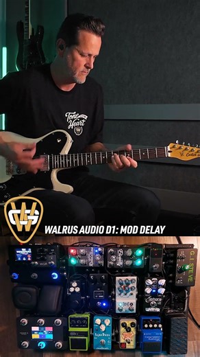 Walrus Audio D1 Instrumental Jam