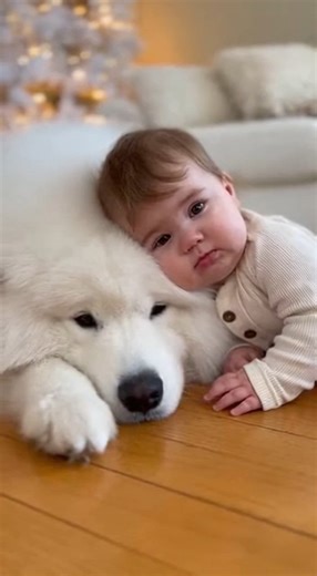 Tiny boss sets the rules 👶📋 | My Tiny Human