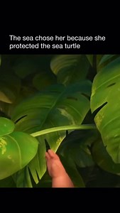 424K views · 149K reactions |  Interesting Fact: Moana (2016) —...