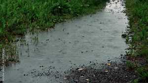 Close-up of water drops falling and splashing on the ground during rain, highlighting the texture and movement of the water and surface.