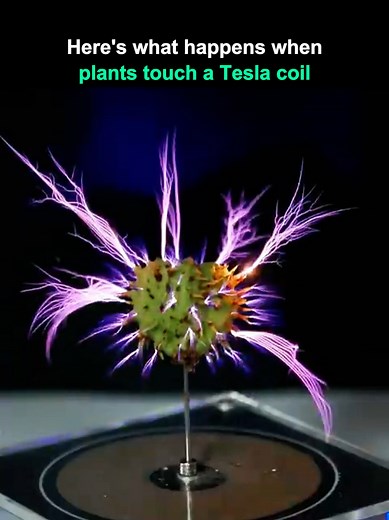 Exploring the Power of Tesla Coil Tests