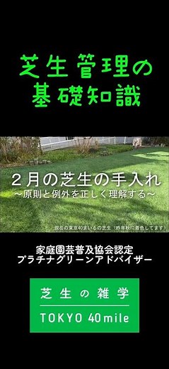 February Lawn Care Basics