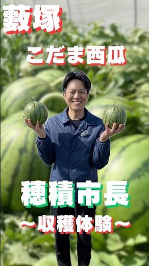 市長こだま西瓜収穫体験動画/農業政策課/群馬県太田市