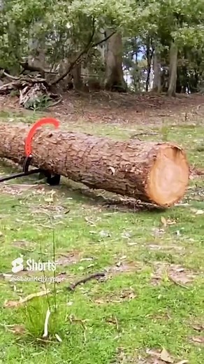 Tazzy Devil Log Lifter 💪🏼 #stihl #loglifter #logjack #logroller