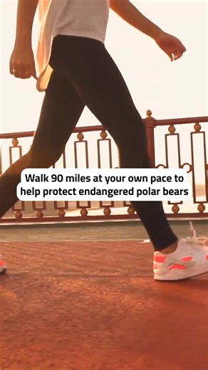 51 reactions | Walk to help polar bears stay wild with the Arctic...