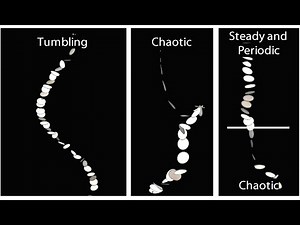 Free-falling paper shapes study