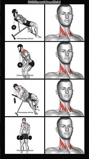 ✅How to Build a Stronger Neck ① Neck Flexion ② Neck Extension ③ Side Neck Extension ④ Dumbbell S