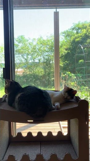 John Michell & Jenjfer