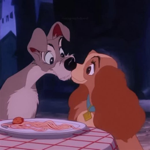 we love vintage 💕✨ on Instagram: "“Lady and the Tramp”(1955)🩷 #ladyandthetramp #vintage #vintageaesthetic #vintagestyle #vintageaesthetics #vintagehollywood #oldhollywood #oldmovies #vintagedisney #disney #disneymovies #olddisney #vintagedisneyclassics #disneylove #disneylover #ladyandthetrampedit #disneysedit #vintagelove #vintageanimation #vintagemovies #50s #50sdisney #1950s #1950svintage #50svintage #disneyinstagram #waltdisney #love #dogs"