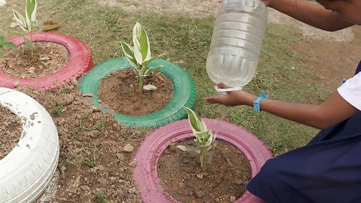 “If you want to serve a greater purpose, make lives better and help the community, while growing your career with a company that has global reach, then Ecolab is the company.” Hear from Kian Tick, Melvin and Vijay about their experience working at Ecolab. #ImpactWhatMatters #ECLTeam | Ecolab