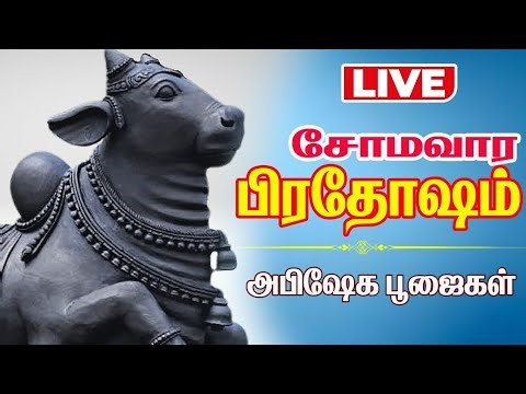 🔴Live: சோமவார மஹா பிரதோஷம் | விரிஞ்சிபுரம் ஸ்ரீ கைலாயநாதர் ஆலய நந்திக்கு |அபிஷேக அலங்கார தரிசனம் |