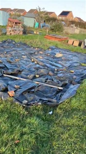 Starting Our Allotment Journey: Shed and Supplies Found