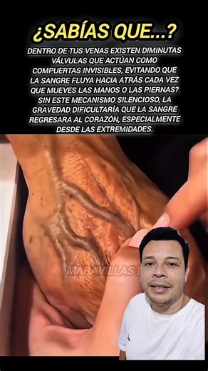 Las compuertas invisibles de tu cuerpo 🫀😳