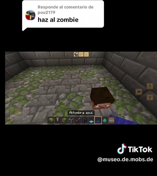 museo de mobs de minecraft on TikTok