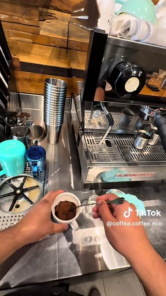 Hot Chocolate with Parrot Latte Art Experience