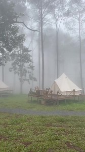 50K views · 1K reactions |...