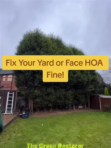 Avoid HOA Fines by Revamping Your Yard