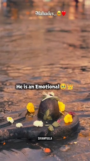 🙏 சிவன் புள்ள 📿 on Instagram: "He is an Emotional🥺👑 #sivan #mahadev #shiva #god #om #shivane #shivan # #tamil #bholenath #lord #potri #mahakal #siva # #bloom #sivam #india #sivan #siva #tirunelveli #sivan #trxye #sivananda #shivan #murugan #siva #godson #like #mahadev #follow#reach #shiva #mahadev @sivan____pulla___"