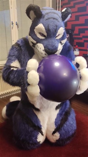 Inflando un globo con disfraz de fursuit