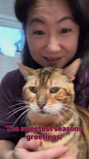 It’s been a whirlwind of Christmas, family gatherings and work so we are SO LATE, but better late than never 😬 Merry Christmas to all of our beautiful supporters! George was feeling extra lovey on Christmas Day when I filmed this but then forgot to post 😬 Also, it’s momma birthday and she is loving the extra cat snuggles 🥰 🎁🥳🫶 Now it’s almost New Year’s and everyone is exhausted but sending everyone some New Year’s love a day early so we’re not late 😂 #georgethebengalcat #seasonsgreeting 