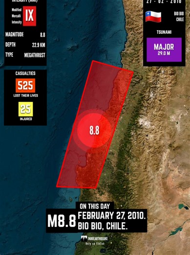 The 2010 Maule Earthquake: A 8.8 Magnitude Review