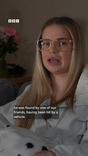 106K views · 2.3K reactions | This dog owner has an important message to anyone using fireworks. | BBC York | Facebook