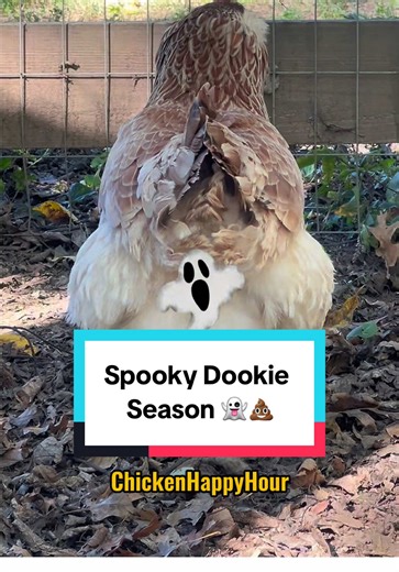 Spooky Dookie Season Fun and Jokes