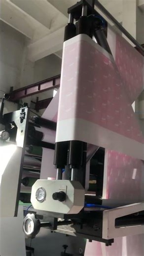 Unit Type Two 4 6 Colour Flexo Printer Label Flexographic Printing Machine