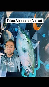 The grossest fish to eat in Rhode Island, this is just my opinion!!! #fishing #Top10 #eating #catchandcook | Fish RI