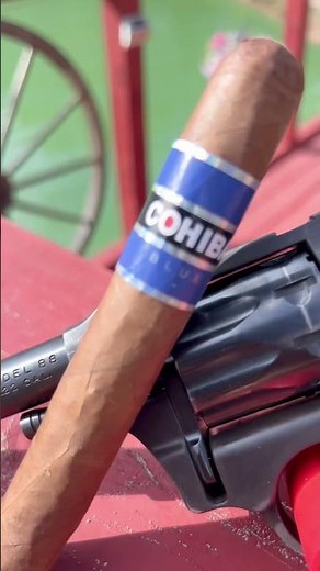 Sears Roebuck JC Higgins Model 88 Cohiba Classics In Both Worlds