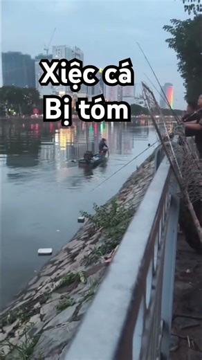 Electric fishing catches fish ✅ #fishing