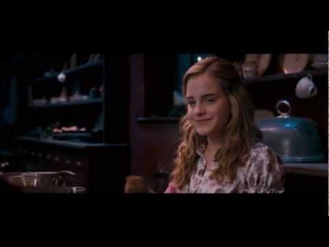 Ron and Hermione- Enchanted