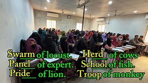 37K views · 1K reactions |  Collective Noun (Most important examples) ️ দেখে রাখুন কাজে লাগবে ইনশাআল্লাহ । #englishlessonsonline #admissions #rajshahi #RajshahiUniversity | Emdad's English Aid | Facebook