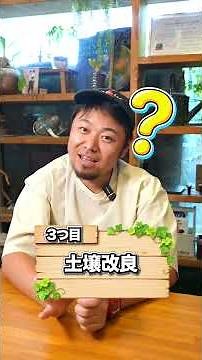[Must-Watch for Those Struggling!] What Should You Do with Excess Soil? Revealing Ways to Use It ...
