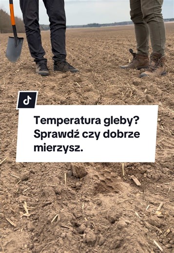 Temperatura gleby: klucz do udanego siewu kukurydzy