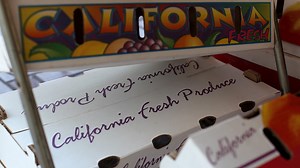 CalFresh wants food-insecure college students to sign up for benefits