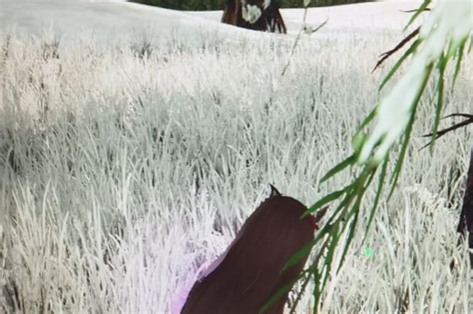 bug 这么近距离都不显示_明日之后 | 大神