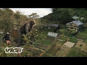 Japan's Country Towns Were Dying, Then COVID Happened