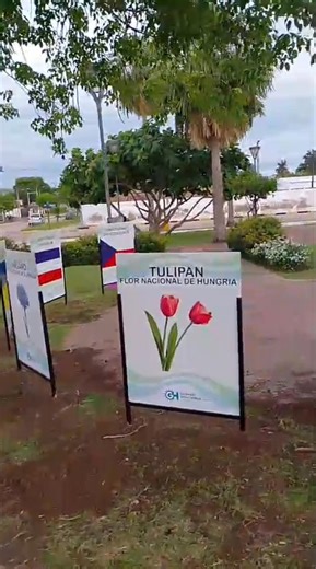 Juan Carlos Acuña on Reels | Facebook