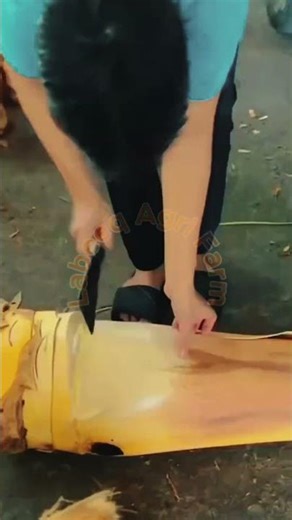 Traditional Manual Extraction of Organic Heart of Palm 🌴🔪✨