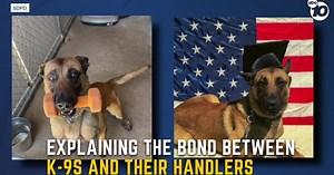 Longtime handler reflects on SDPD K-9 dog's death during standoff