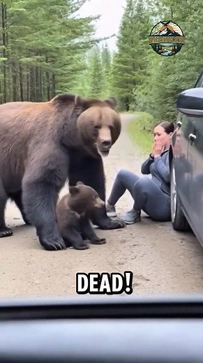 Woman surprised by mother bear #wildnature | Wild Nature
