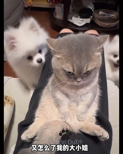 Hilarious Voiceover Mashup p1