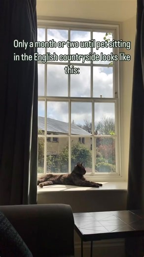 🐾 Love pets? Love to travel? 🌎 Explore the world through pet sitting! Join today and stay in unique homes around the world, in exchange for caring for cute pets! 😻 | TrustedHousesitters