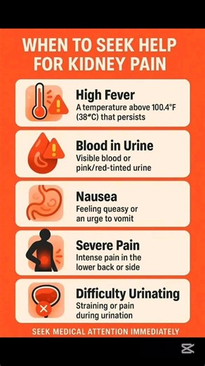 When To Seek Help For Kidney Pain #kidneyhealth #kidneydisease #kidneycare #kidneyfailure #kidney | Nursing Exercise