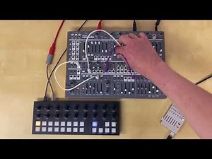 Intellijel Cascadia Sound Demo (no talking)