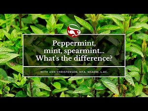 Peppermint, mint, spearmint…What's the difference?